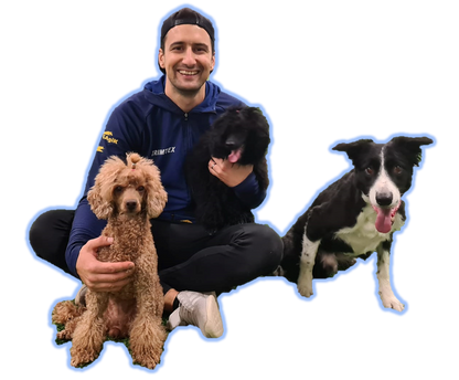 Agility Semir Ajanic